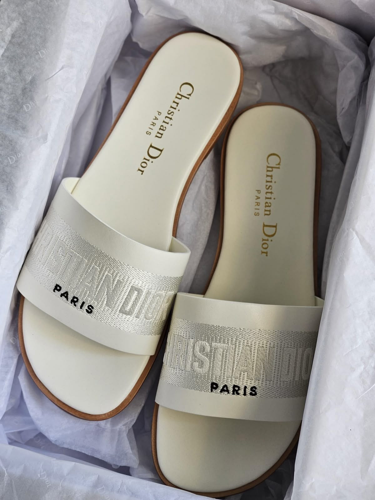 Diala Reefa Slides