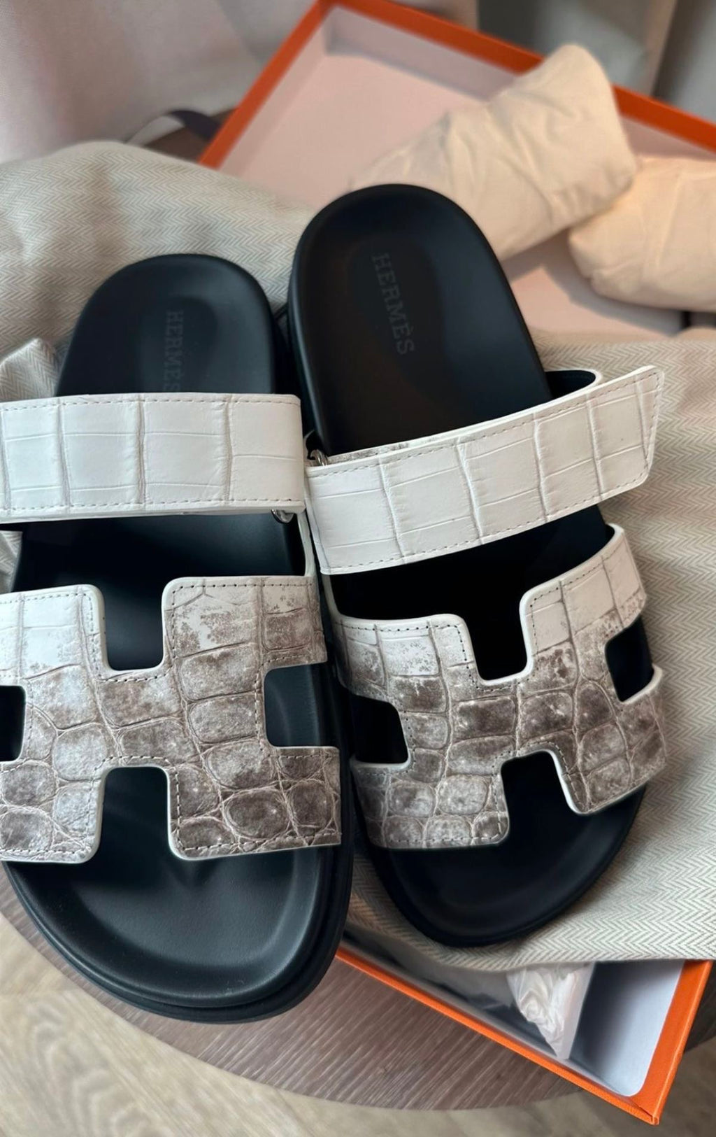 Hila Gifra Slides